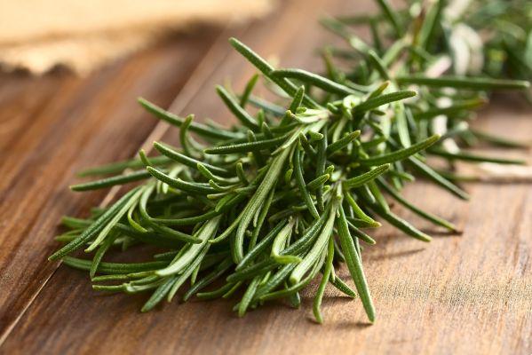 Use rosemary to improve your health