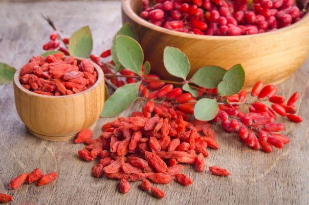 Goji Berry – All About This Powerful Fruit!