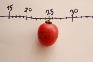 Learn the Pomodoro technique and increase your production