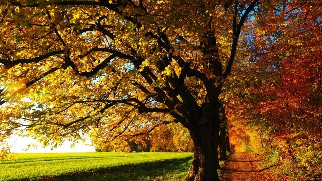 4 questions puissantes à vous poser pendant l'équinoxe d'automne
