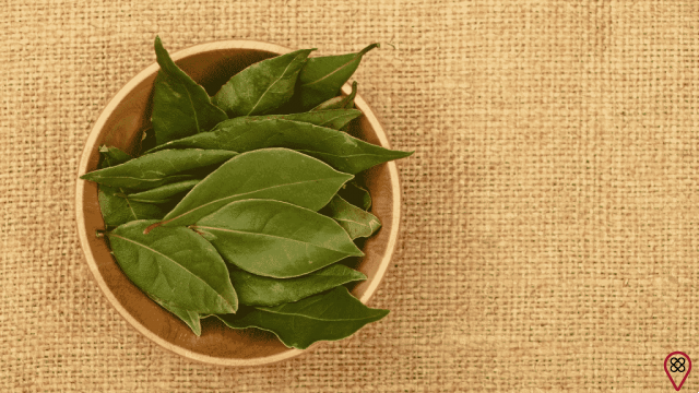 The benefits of bay leaf