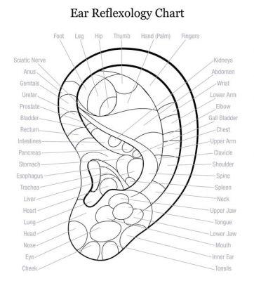 reflexología del oído