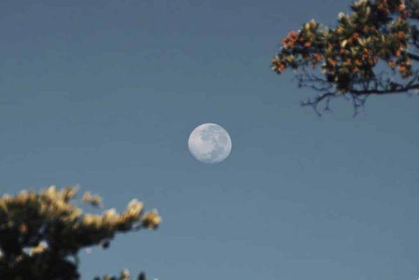 Scavenging Osho 2 – The Moon