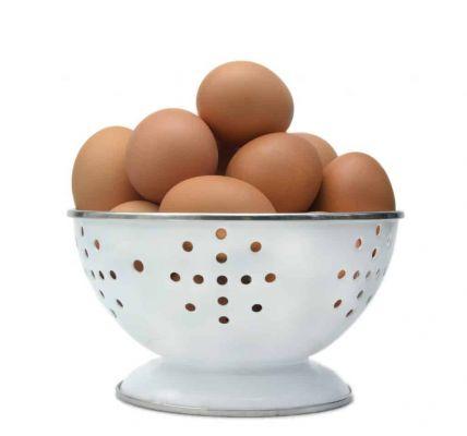 Egg hydration: learn about the benefits and learn how to do it