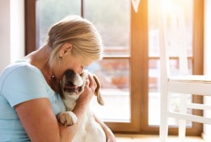Adoptez un chien et réduisez votre stress