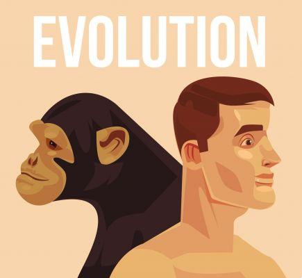 El instinto moderno: ¿por qué seguimos siendo los mismos y vivimos como nuestros antepasados?
